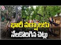 Heavy Rain Uproots Tree In Kerala | Weather Report | V6 News