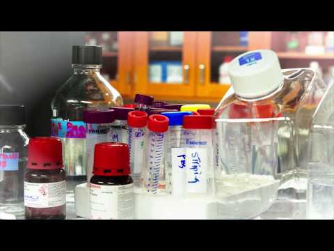 Auburn University research leads to gene therapy that provides hope for children with deadly disease Auburn University research leads to gene therapy that provides hope for children with deadly disease