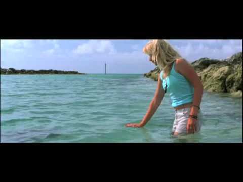 Eye of the Dolphin'