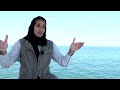 How UAEs rapid development impacts marine life  - 01:38 min - News - Video