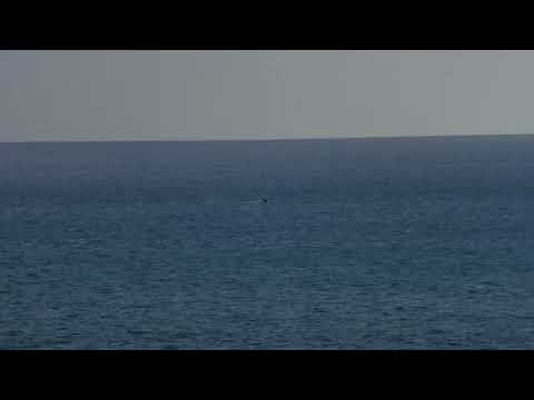 Video der Unterkunft