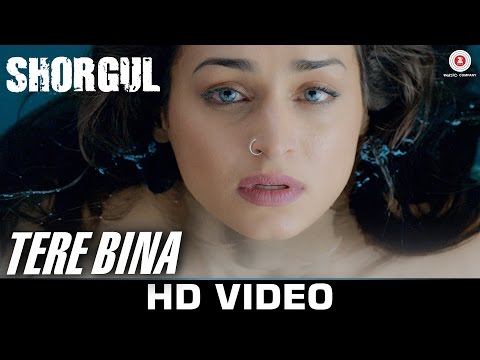 Tere Bina Jee Na Lage Lyrics - Arijit Singh | Shorgul
