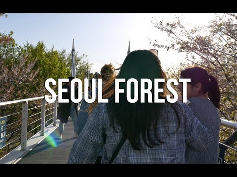 SEOUL FOREST ENTRE AMIS
