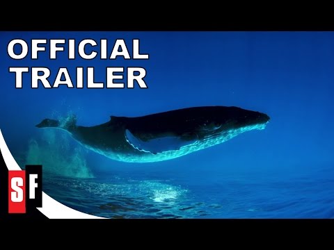 Humpback Whales'