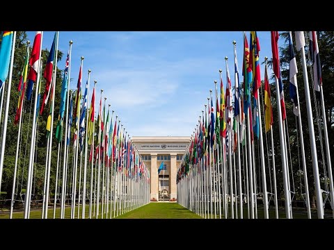 UN at 75: Multilateral dialogue and win-win cooperation UN at 75: Multilateral dialogue and win-win cooperation