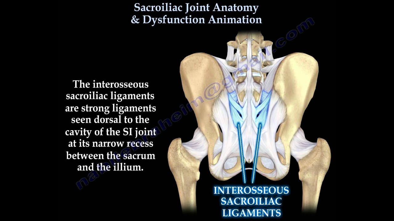 Sacroiliac Joint Dysfunction Anatomy Animation Everything You Need To Know Dr Nabil