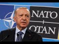 Explainer: Turkey approves Swedens NATO membership bid | REUTERS