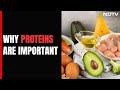 A Doctors View On Why Proteins Are Important