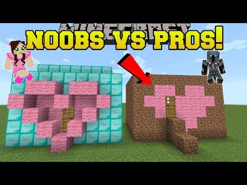 Minecraft: NOOBS VS PROS!!! - BUILD BATTLE TEAMS!! - Mini 