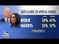 Independent voter may sit this one out in 2024, not vote for Trump or Biden  - 04:35 min - News - Video