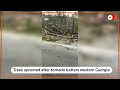 Video shows toppled trees after tornado in Georgia  - 00:28 min - News - Video