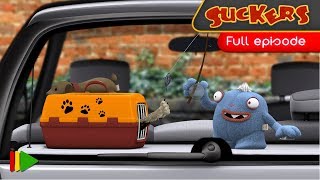 Prsavky 30 - Zavret maka