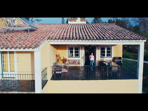 Video realizado por la propiedad