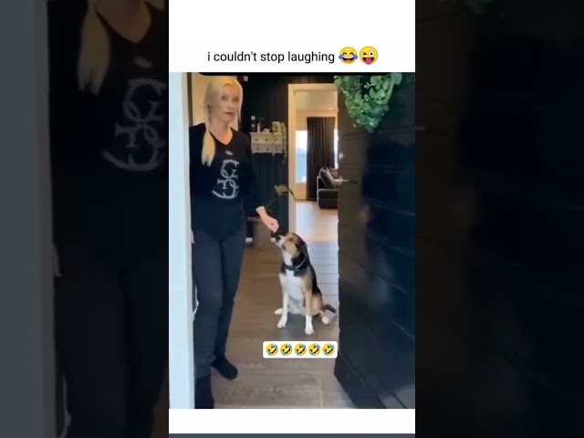 i couldn't stop laughing 😭🤣 #funnyvideo #funny #familyhumor #cat #love #dog #family