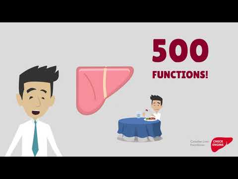 Check Your Engine for Non-alcoholic Fatty Liver Disease (NAFLD) Check Your Engine for Non-alcoholic Fatty Liver Disease (NAFLD)