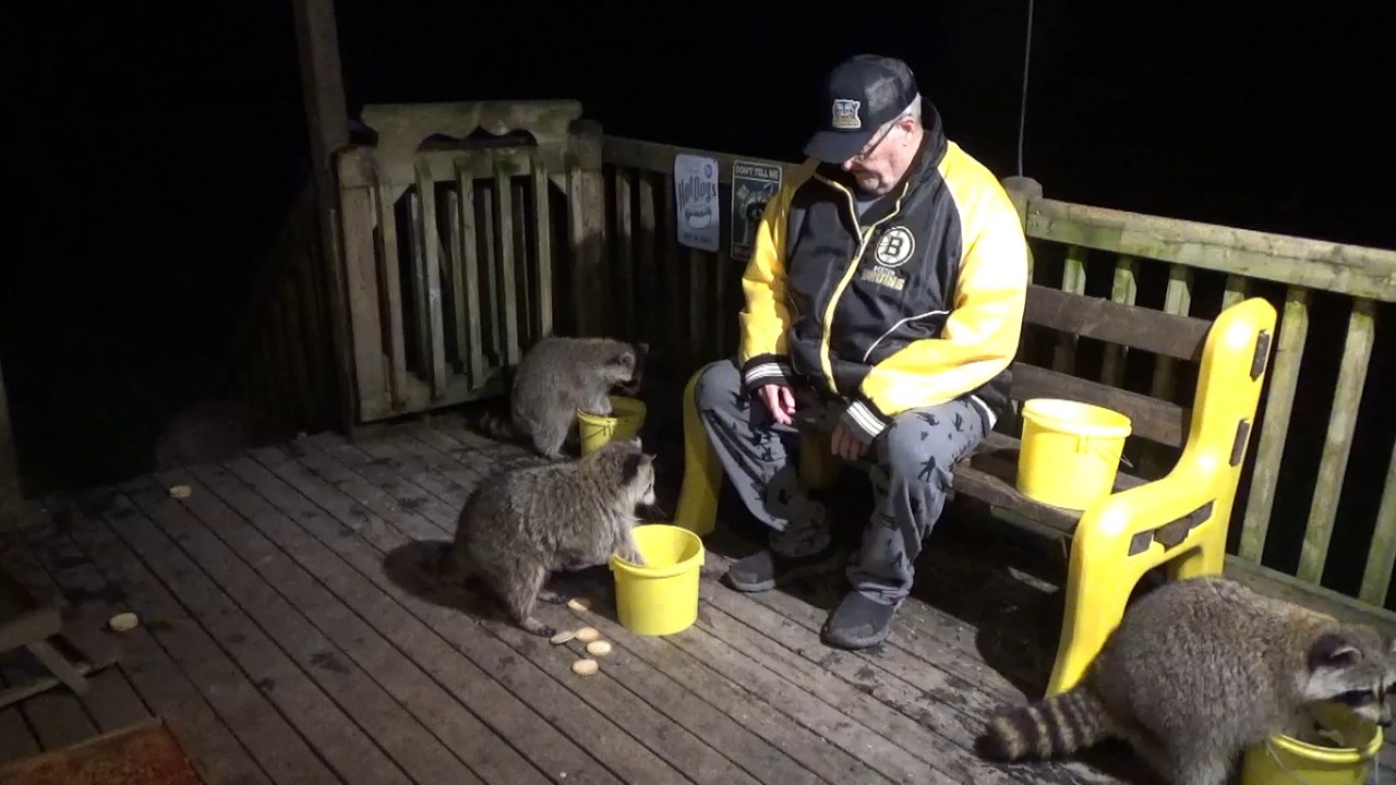Raccoon Diner Saturday small crowd