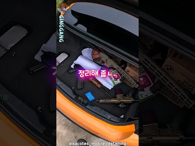 세차를 하려면 목숨을 걸어라