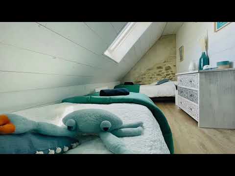 Property video