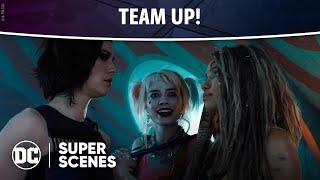 DC Super Scenes: Team Up