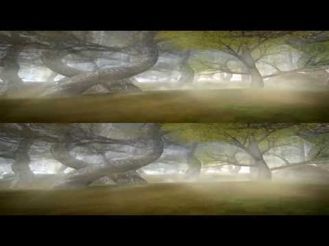 AMAZING 3D - Magic Forest (Lichtmond 2) [1080p]
