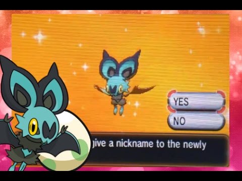 MM) Pokemon Y Shiny Noibat Hatch After 30 Min Hunt Only!!! Musica 