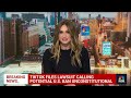 TikTok files lawsuit against U.S. government calling potential ban unconstitutional  - 01:41 min - News - Video