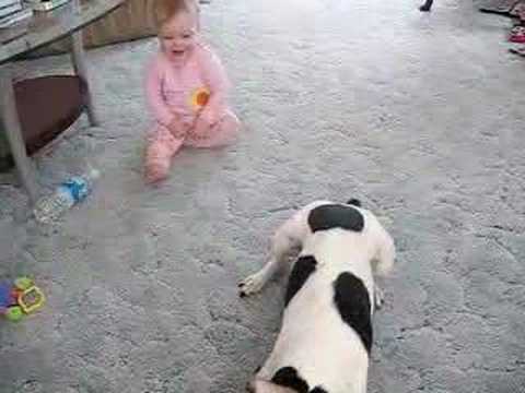 Бебето го гризна кучето