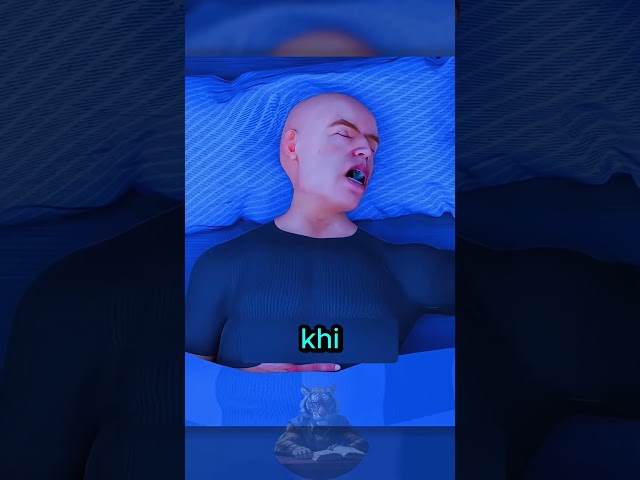 Vì Sao Chúng Ta Tỉnh Giấc Khi Ngã Trong Mơ 😳