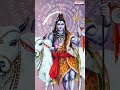 తెల తెల వారే లేరా స్వామి  #LordShivasongs #ShivaStotram #OmNamahShivaya #telugubhaktisongs