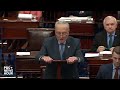 WATCH: Schumer argues for dismissal of Mayorkas impeachment, says 1st article is unconstitutional  - 03:26 min - News - Video