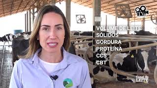 Fazenda Bacelar Agroleite - Referência na qualidade de leite - TV Holstein