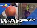 Peach, eggplant art create controversy in Ellicott City