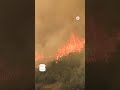 #Wildfires rage in California and New Mexico  - 00:39 min - News - Video