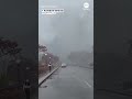 Aftermath video shows smoke rising after vehicle explosion at Rainbow Bridge  - 00:25 min - News - Video
