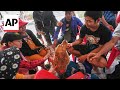 Sniffer dogs offer emotional support to relatives of missing workers after earthquake
