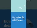 WATCH: How sunlight degrades marine plastics  - 00:51 min - News - Video