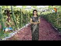 మిశ్రమ కూరగాయల సాగుతో లాభాలు | Benefits of Mixed Vegetable Cultivation | Matti Manishi | 10TV  - 05:30 min - News - Video