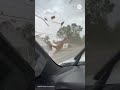 Wind rips roof off building in Maine