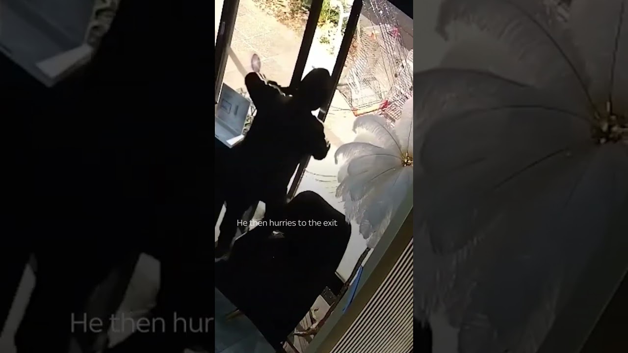 Security footage captured the botched arson attempt in Australia