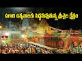 ఉగాది ఉత్సవాలకు సిద్ధమవుతున్న శ్రీశైల క్షేత్రం | Ugadi Festival Celebrations In Srisailam | hmtv