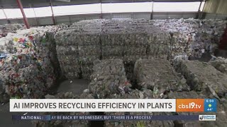 AI improves recycling efficiency in plants