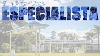 Na próxima sexta-feira (25/03) comemora-se o Dia do Especialista de Aeronáutica. Veja neste vídeo uma homenagem a esses profissionais de ponta que atuam em diversas frentes para dar suporte à atividade-fim da Força Aérea Brasileira (FAB).