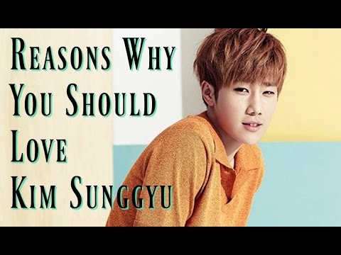 Reasons Why You Should Love Kim Sunggyu