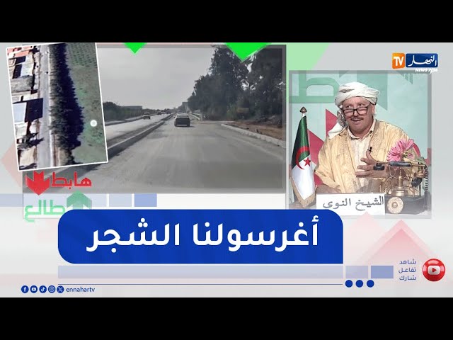 الشيخ النوي: مشاريع إزدواجية الطرقات تقضي على آلاف الأشجار والبديل لا يوجد