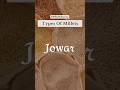 Know all about our hero millet! #jowar #jowarrecipes #milletrecipes #milletkhazana