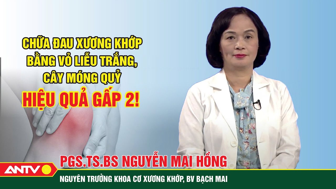 Chữa Đau xương khớp, Viêm khớp bằng Vỏ Liễu Trắng & "Cây Móng Quỷ" - Hiệu quả gấp 2! | ANTV