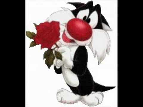 VIDEO MUSICA CARIBENOS video musica caribenos: