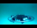 Smart Autonomous Underwater Vehicle (AUV)