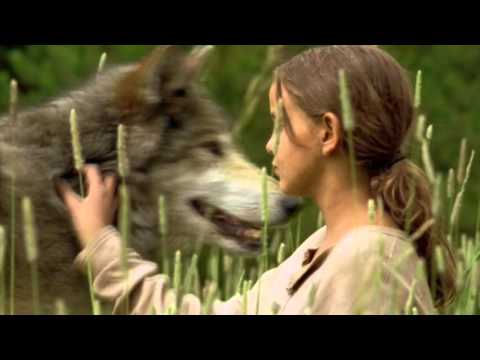 De Zomer van de Wolf'