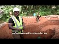 Benin entrepreneur harnesses biowaste to power homes, farms | REUTERS  - 02:17 min - News - Video